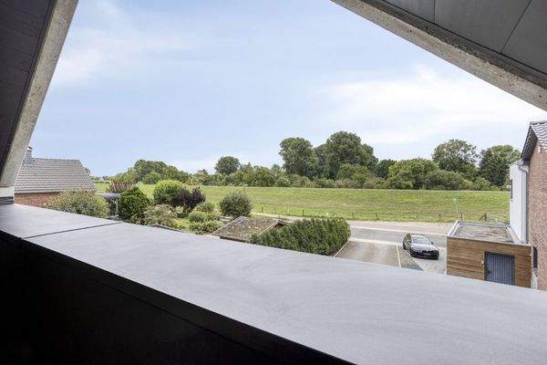 Blick auf den Rheindamm 