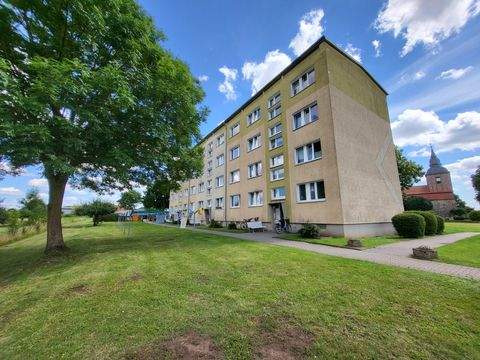 Nieden Wohnungen, Nieden Wohnung mieten