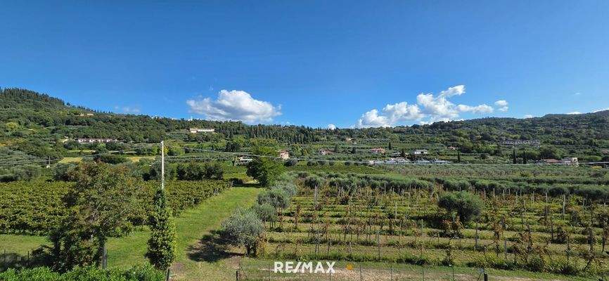 Wohnung - Aussicht (2)