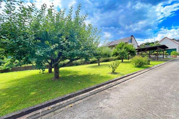 Beeindruckender Garten