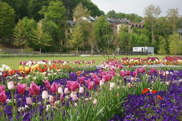 Wohnumfeld direkt am Park