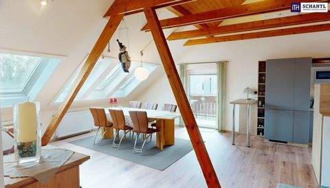 Leibnitz Häuser, Leibnitz Haus kaufen