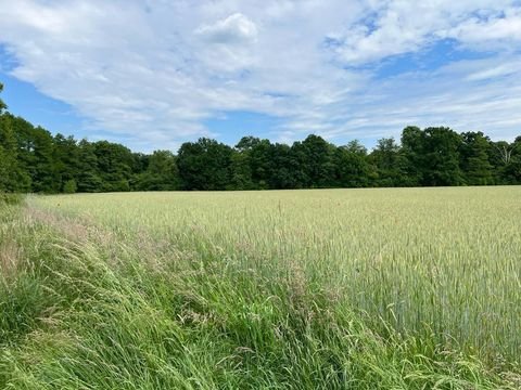 Wandlitz Renditeobjekte, Mehrfamilienhäuser, Geschäftshäuser, Kapitalanlage