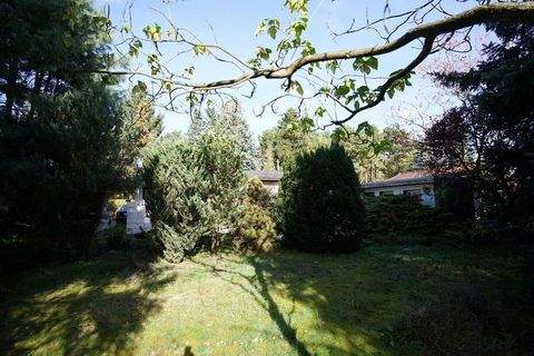 Heidesee Häuser, Heidesee Haus kaufen