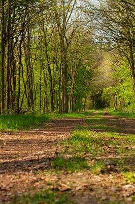 Möglichkeiten zum Spazieren