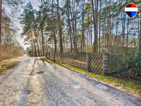 Rehfelde Grundstücke, Rehfelde Grundstück kaufen