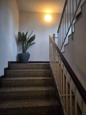 Gepflegtes Treppenhaus