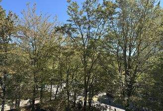 Ausblick