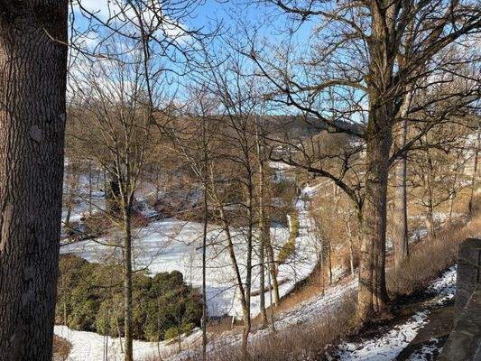 Blick in den Berleburger Schloßpark