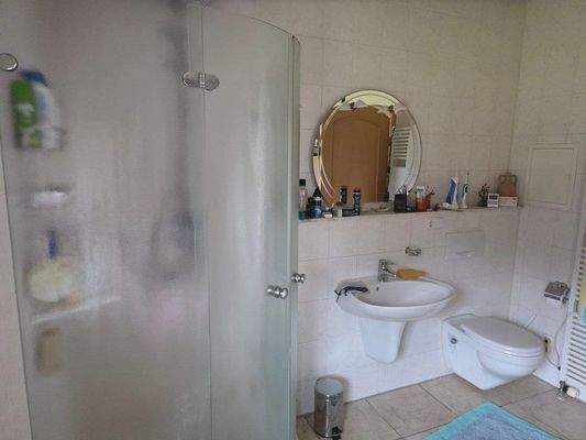 Nebengebäude Badezimmer mit Saunanschluss.