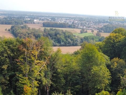 Seggauberg Häuser, Seggauberg Haus kaufen