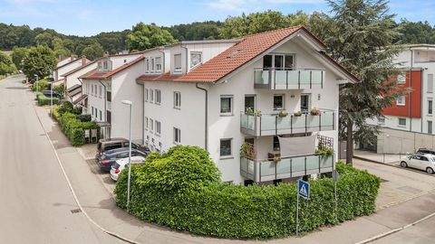 Weingarten Häuser, Weingarten Haus kaufen