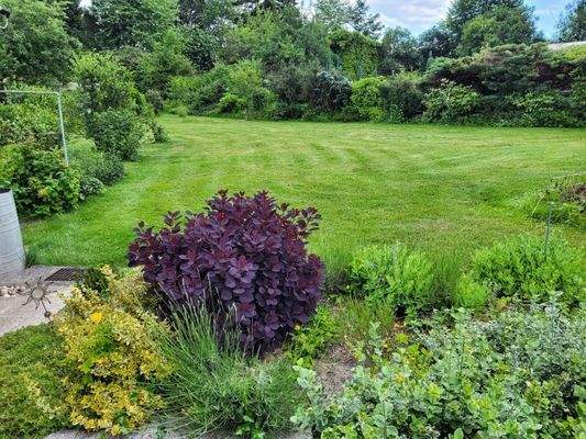 Blick ins Grundstück