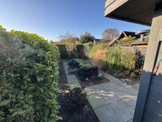 Garten / Gemüsebeet