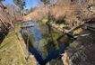 2370, Teich 