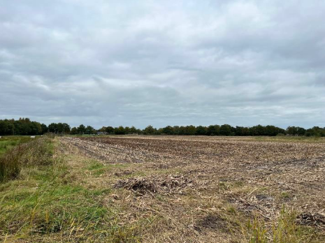 Ansicht von Südwesten