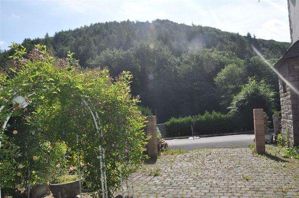 Waldblick vom Innenhof