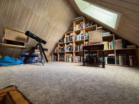 Gemütlicher Dachboden