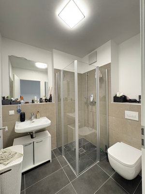 Badezimmer mit bodentiefer Dusche und Waschbecken, WC