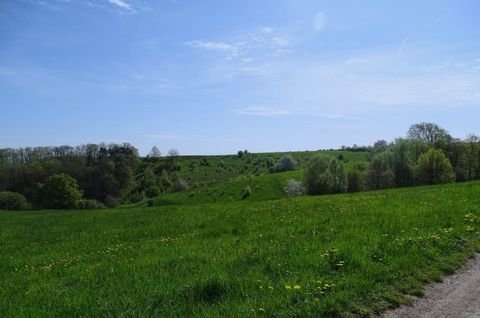 Freital / Saalhausen Bauernhöfe, Landwirtschaft, Freital / Saalhausen Forstwirtschaft