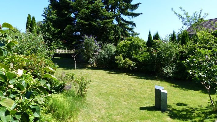 Blick in den Garten