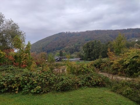 Badenweiler Grundstücke, Badenweiler Grundstück kaufen