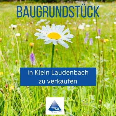 Zwischenüberschrift hinzufügen (6)