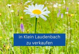 Zwischenüberschrift hinzufügen (6)