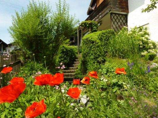 Blick zum Garten/Terrasse
