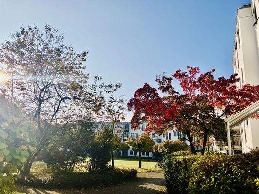 Wohnanlage Grünfläche