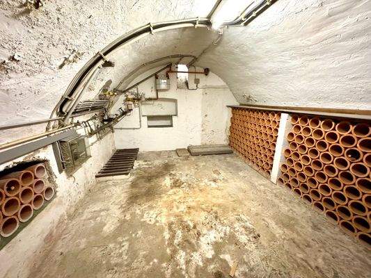 T20 Vorderhaus Gewölbekeller.jpg