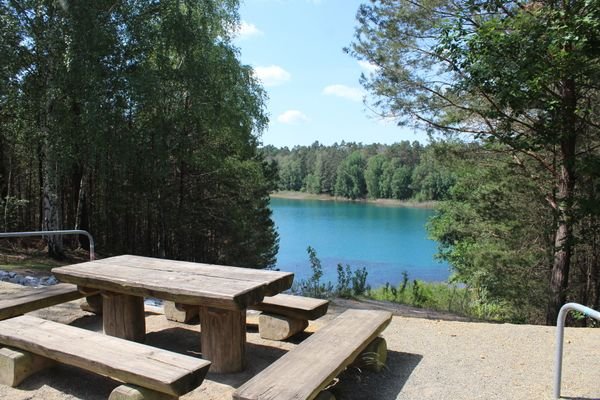 felixsee4.jpg
