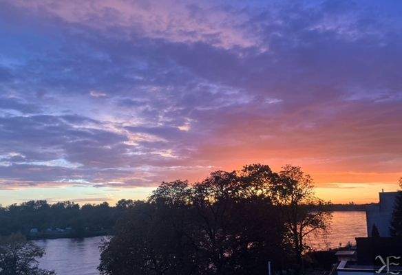 AE54CCB2-D8DC-45E3-AA12-2E5D4493F2F4 (1).JPEG