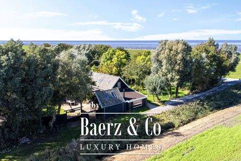 tzummarum Häuser, tzummarum Haus kaufen