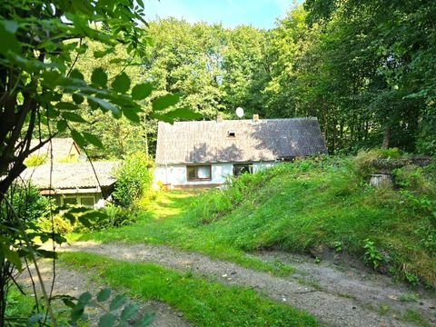 Husum Häuser, Husum Haus kaufen