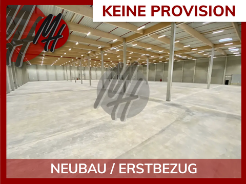 Stuttgart Halle, Stuttgart Hallenfläche