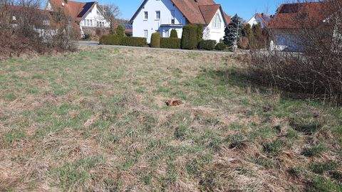 Mühlhausen Grundstücke, Mühlhausen Grundstück kaufen