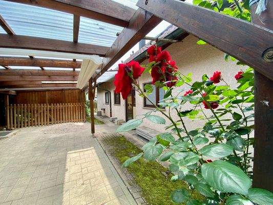 Elektrische Markise + Beleuchtung