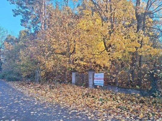 Blick auf das Grundstück