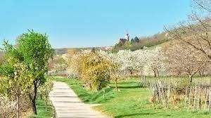 Donnerskirchen Wohnungen, Donnerskirchen Wohnung kaufen