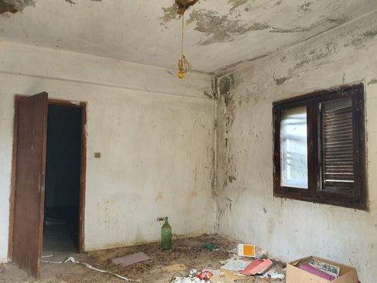 Kreta Sisi - vier Wohnungen in einem großen Garten zur Renovierung