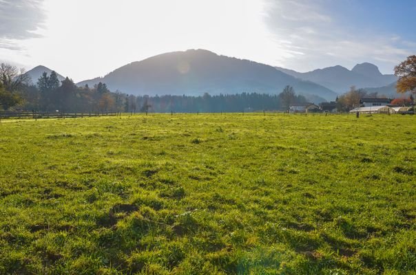 Fläche im Außenbereich