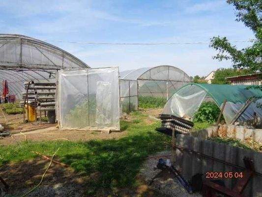 3 Gewächshäuser hinter dem Haus