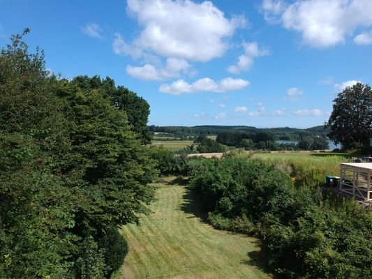 Garten / Potenzielles Baugrundstück