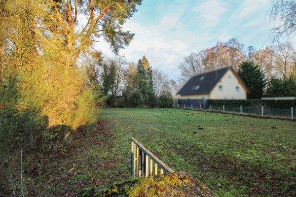 Blick vom Tor auf das Grundstück