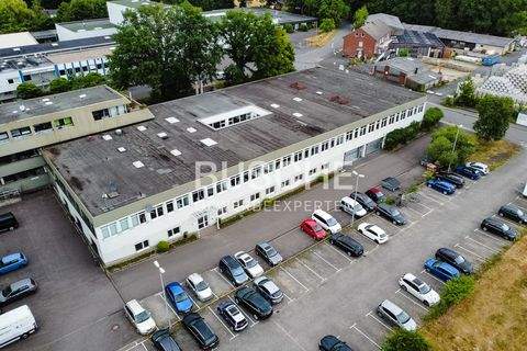 Münster Halle, Münster Hallenfläche