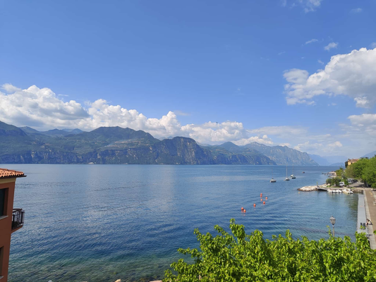 Ausblick vom Balkon.png