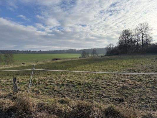 angrenzende Weidefläche