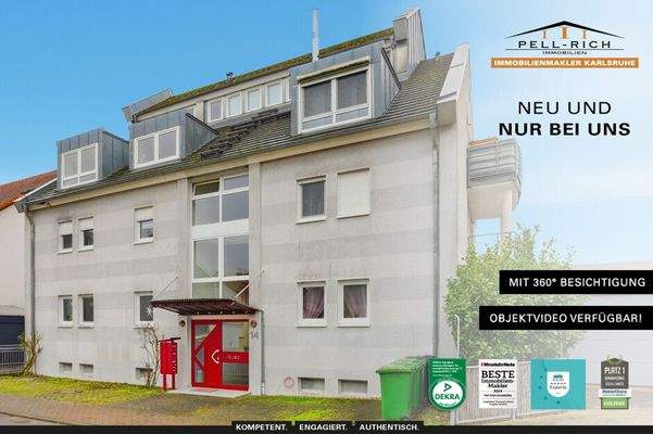 Neu & Nur bei Pell-Rich