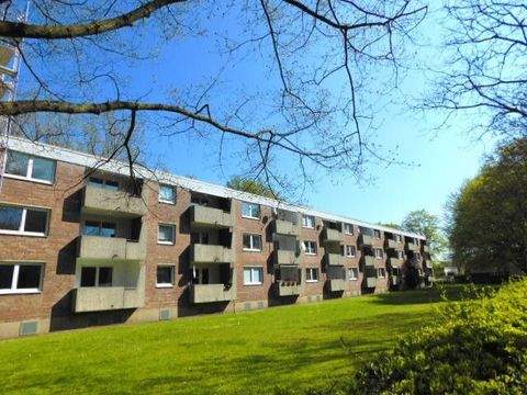 Hürth Wohnungen, Hürth Wohnung mieten